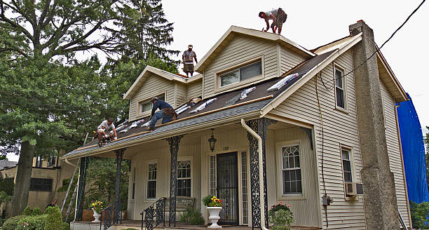 Roof Gutter Cleaning in Travelers Rest, SC